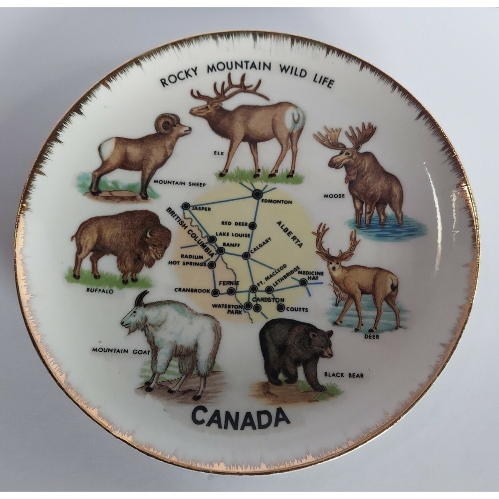 Vtg Rocky Mountain Wild Life Moose Deer Bear Canada 8" Ceramic Plate Cabin Decor